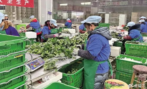 內地平價超市遭香港居民搶購，新鮮蔬菜零售何以成焦點？